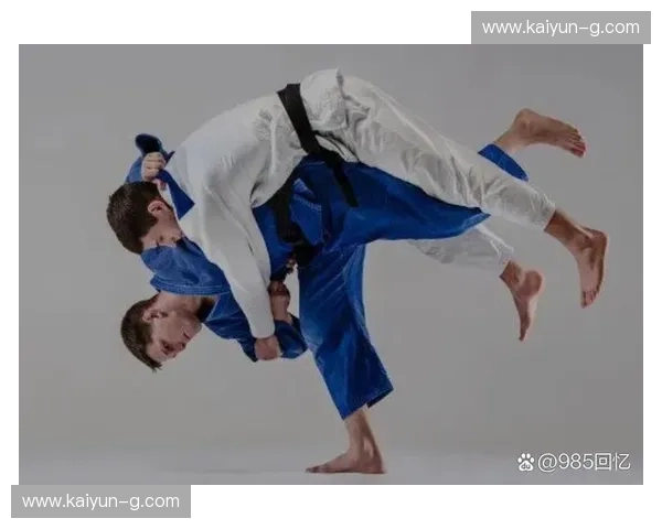 柔道战术师:以智取胜的格斗革命 柔道战术师:以智取胜的格斗革命