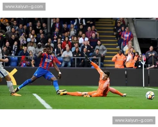 斑马军团与紫百合的激情碰撞:一场历史与荣耀的对决 斑马军团与紫百合的激情碰撞:一场历史与荣耀的对决